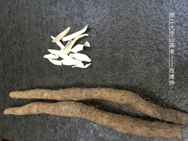 河南理工大学山药哥,程建伟铁棍山药