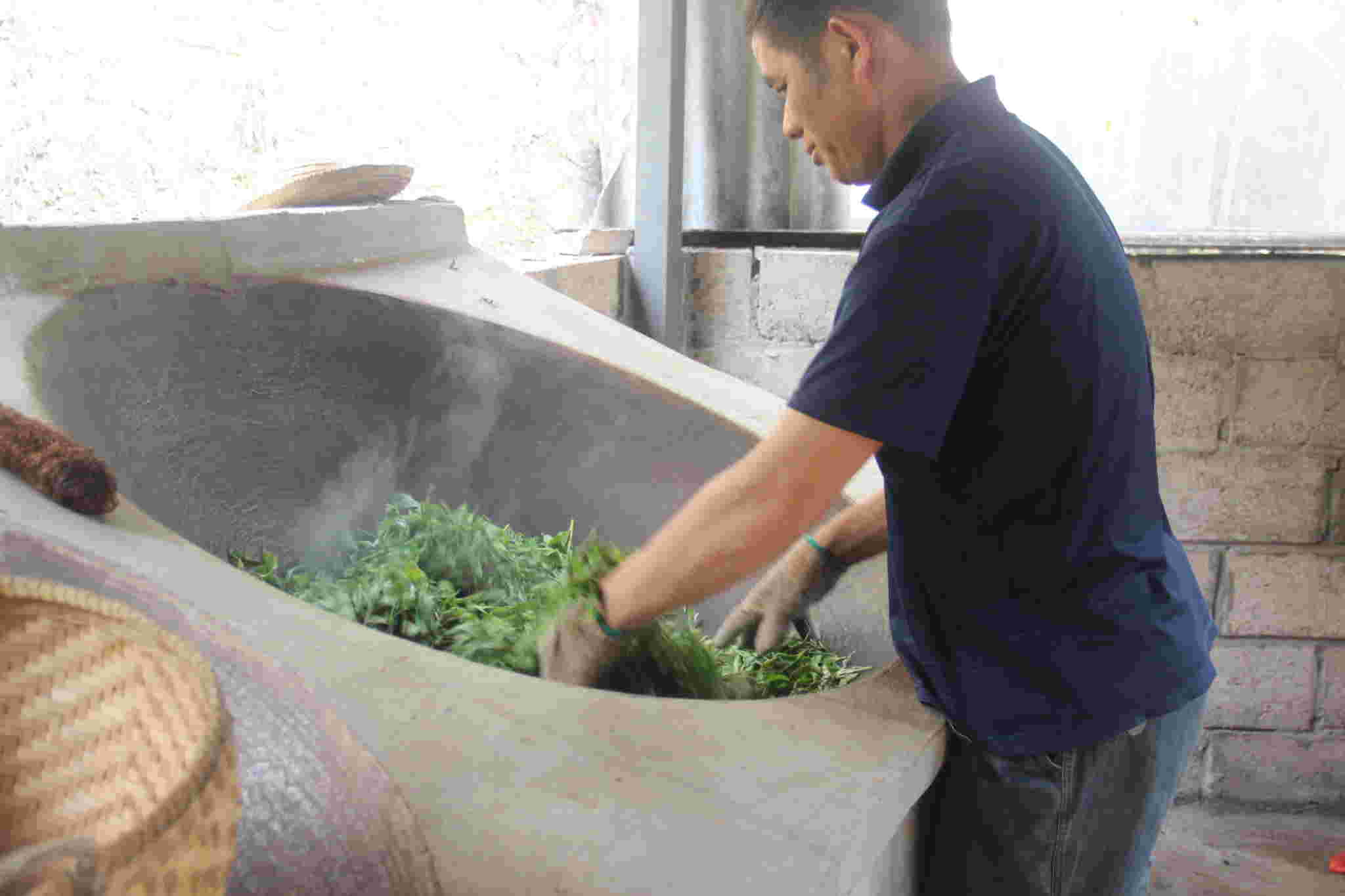 古树茶好喝吗视频,古树茶好在哪里