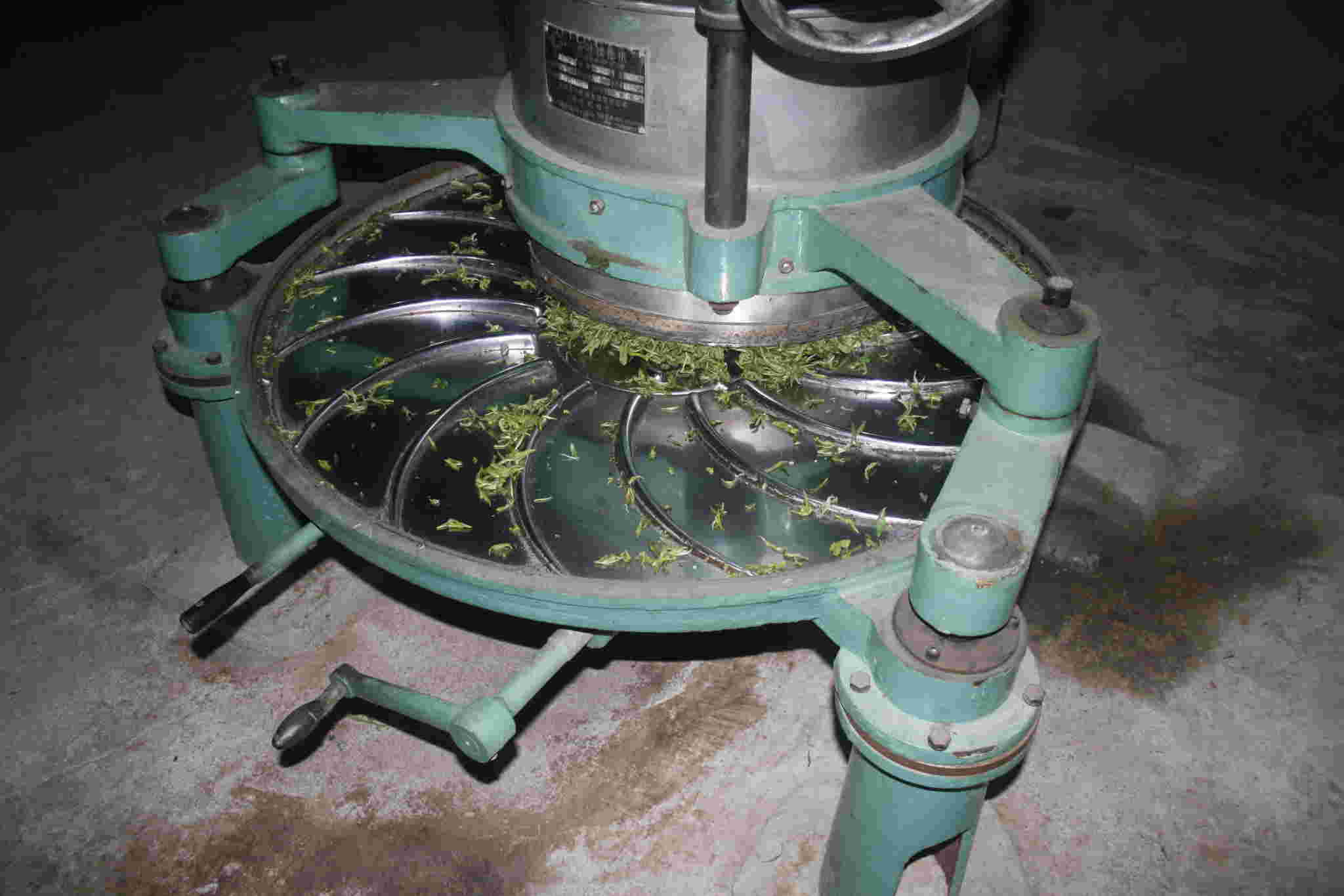 古树茶好喝吗视频,古树茶好在哪里