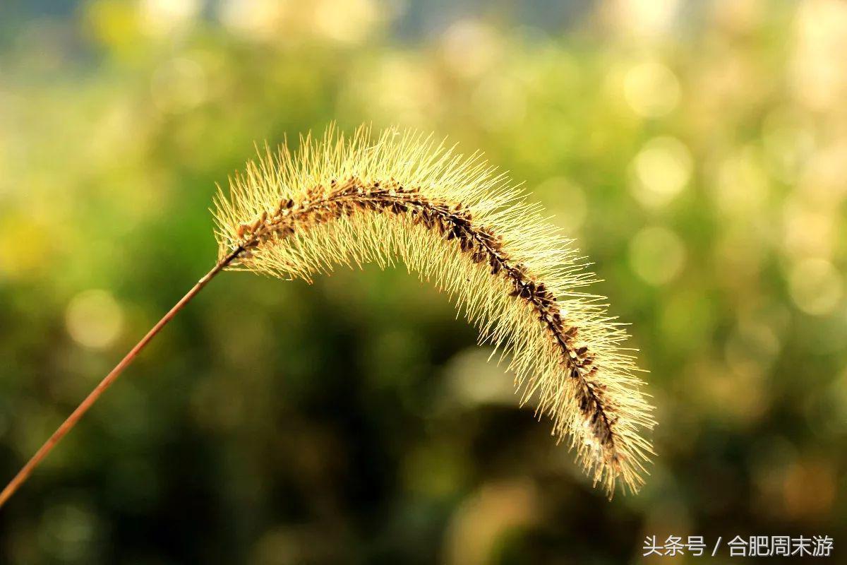 2022浜斾竴鍚堣偉鍏嶈垂鏅尯,鍚堣偉鍏嶈垂鐜╂櫙鍖哄叏鍚嶅崟