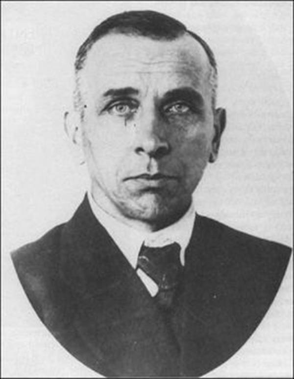 每日花语正能量,每日花语向日葵