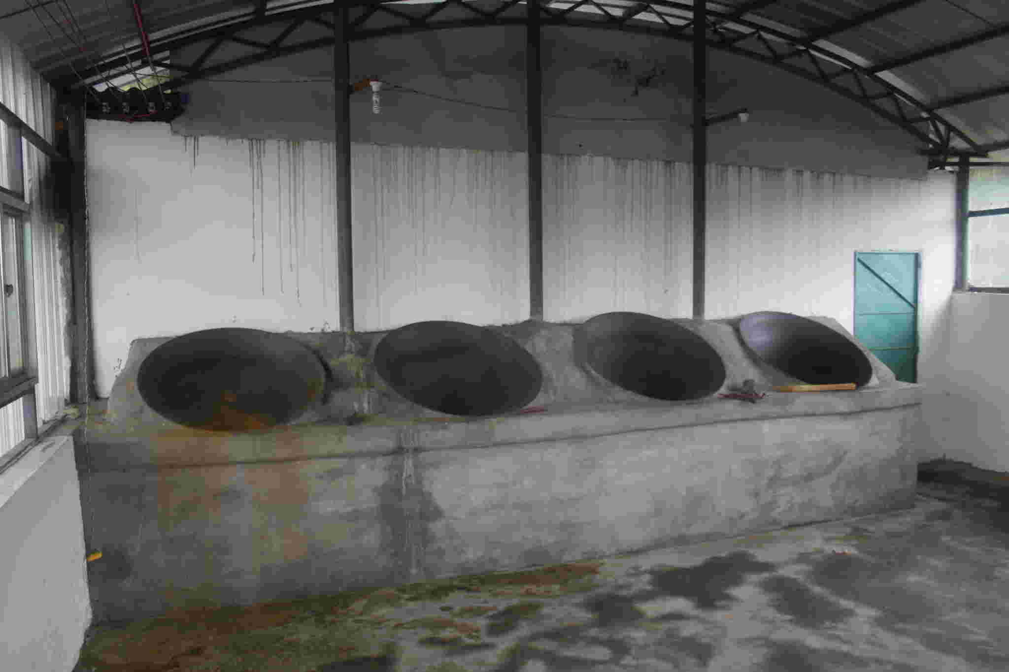 古树茶好喝吗视频,古树茶好在哪里