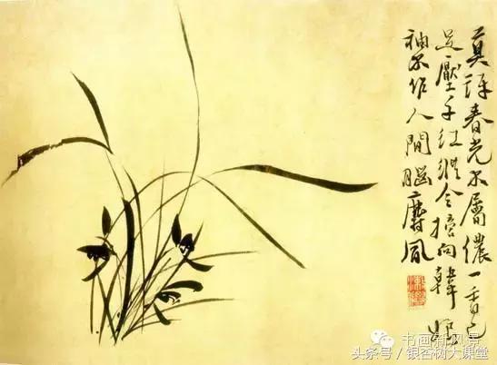 赞美兰花的诗整首,十首最经典兰花诗