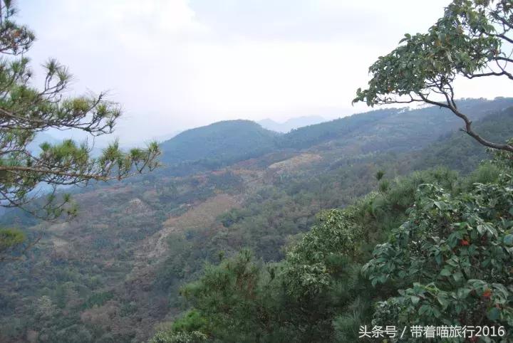 四明山该去哪,四明山观景台晚上能看风景吗