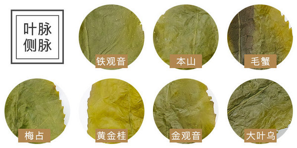 铁观音颜色深还是浅好,铁观音本种和色种的区别