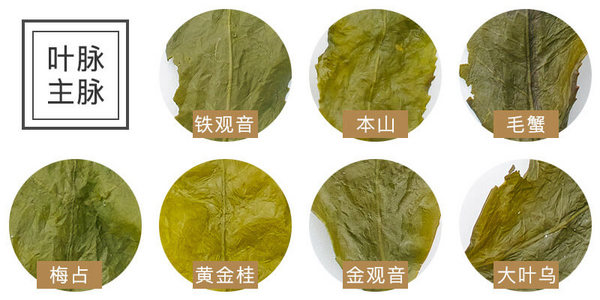 铁观音颜色深还是浅好,铁观音本种和色种的区别