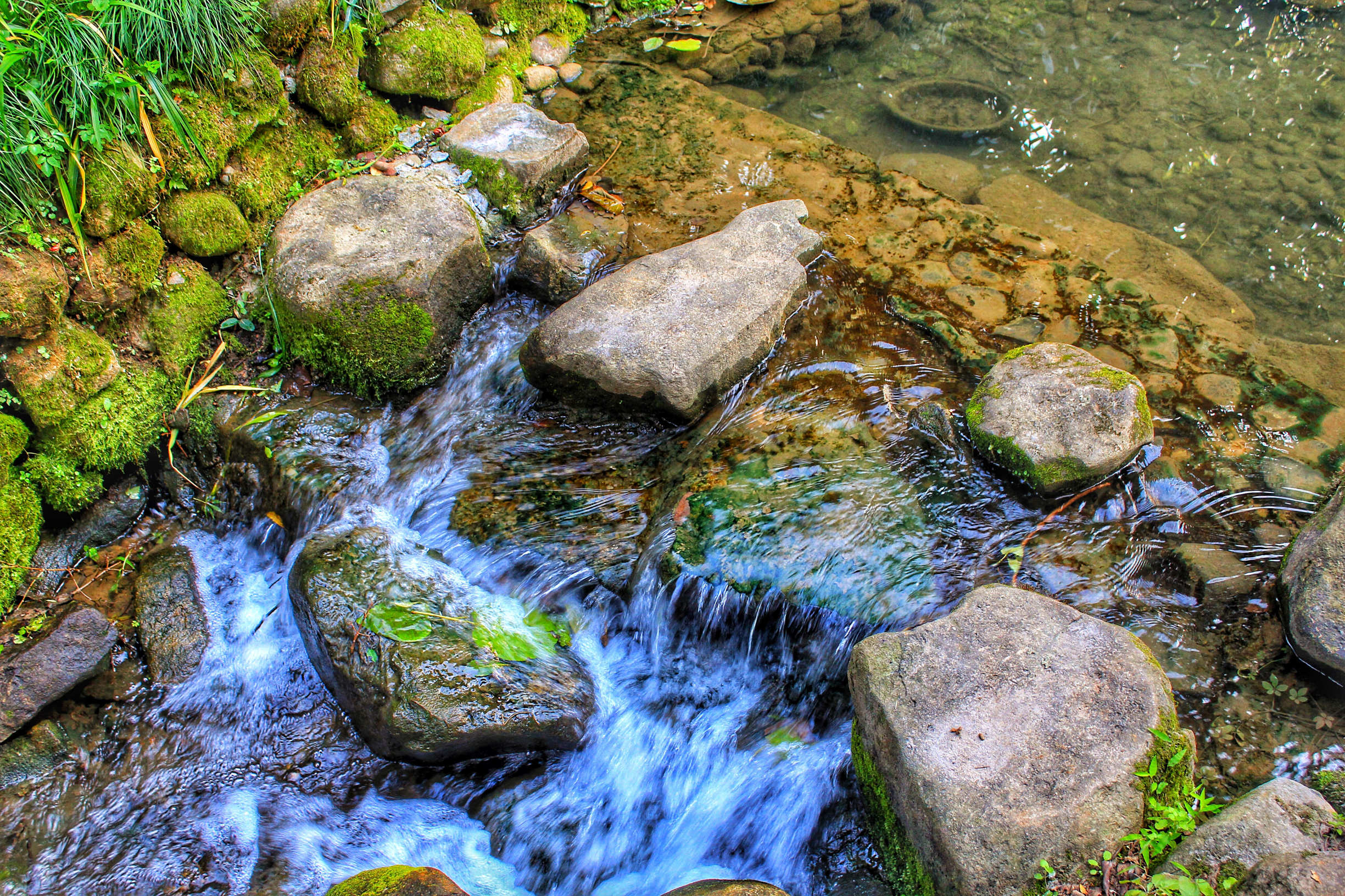 罗莱夏朵杭州紫萱度假村招聘,罗莱夏朵杭州紫萱度假村团购