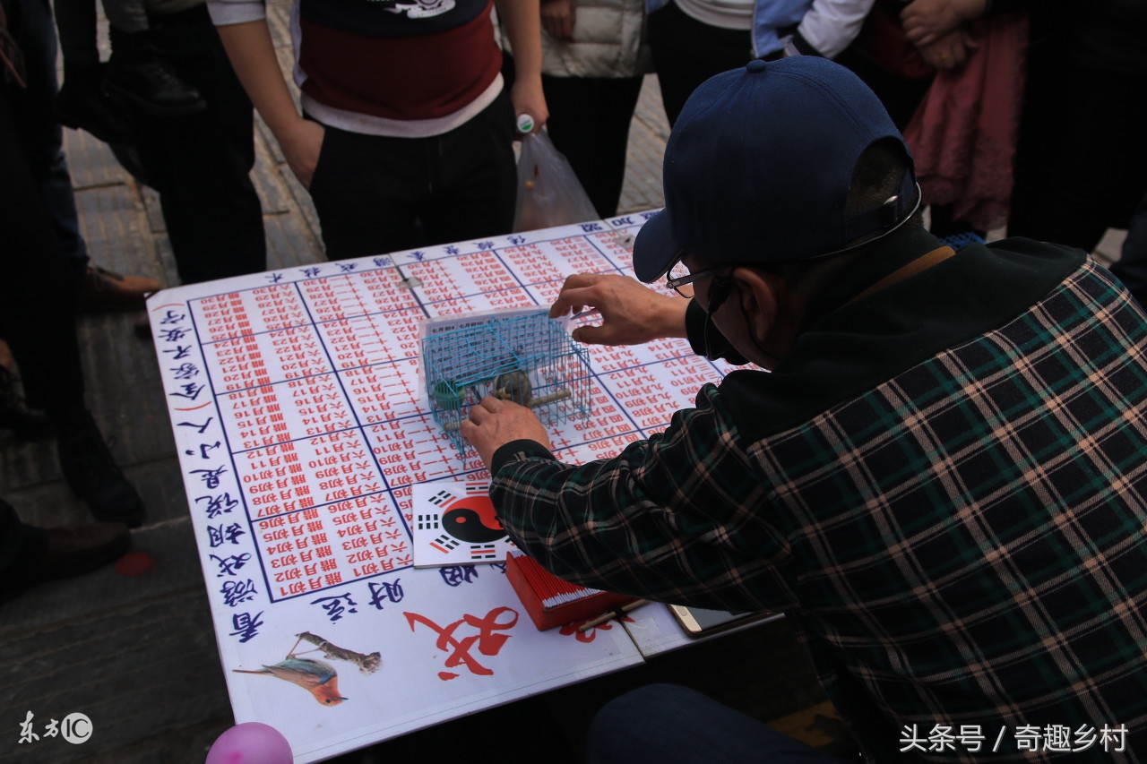 农村5大骗局,揭秘农村七大骗局