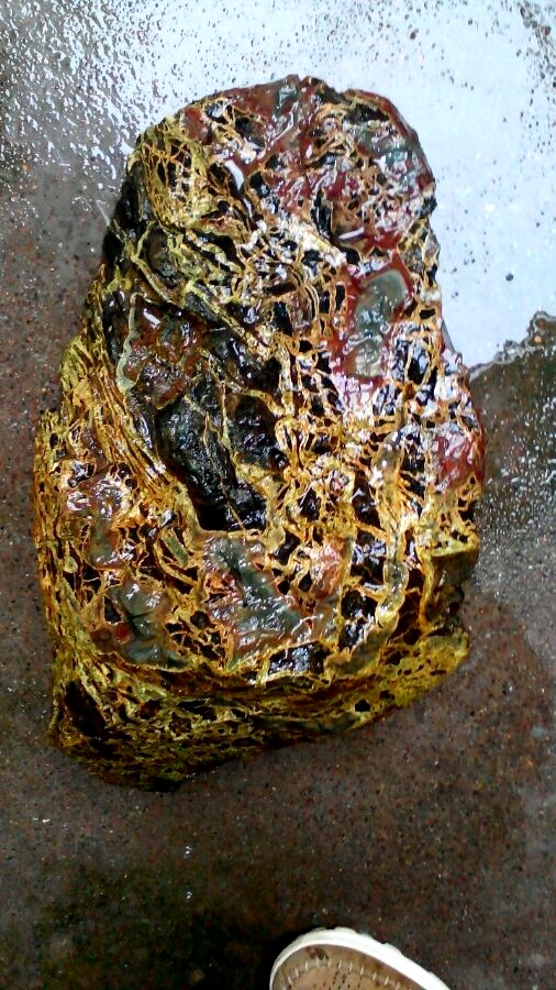 台湾七彩龙纹石,台湾特产龙纹石