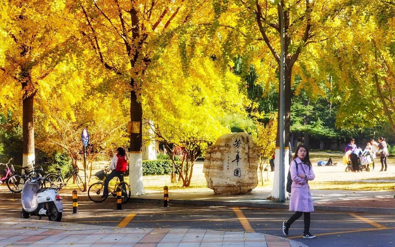 京城赏秋打卡胜地,京城赏荷最佳路线图