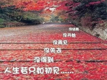 人生若只如初见安意如电子版,人生若只如初见安意如语录