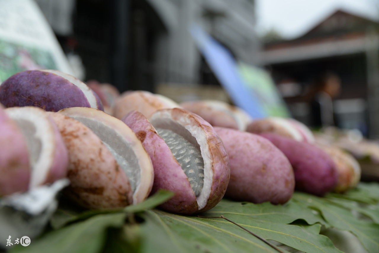 为什么现在城里人喜欢吃野菜,为什么现代人吃野生动物不易得病