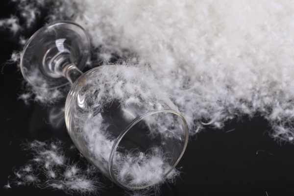 羽绒服鹅绒白鸭绒灰鸭绒哪个好,羽绒服灰鸭绒好还是白鸭绒好