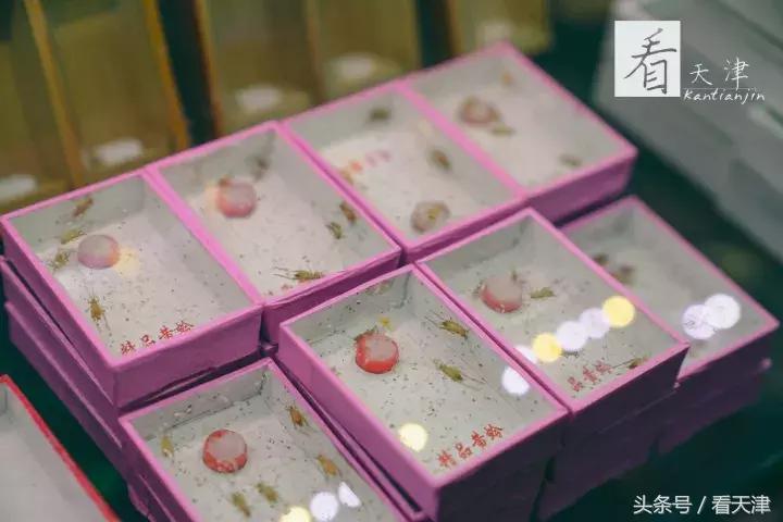 天津宝鸡道花鸟鱼虫市场鹦鹉全吗,天津市宝鸡道花鸟鱼虫市场文玩