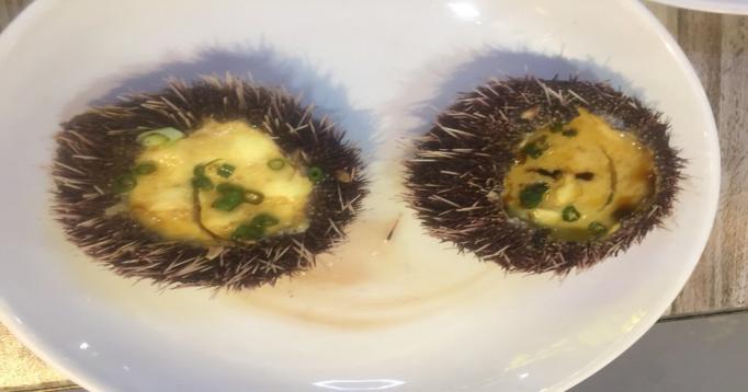 国内亲子游必去的10个海边,假期带孩子去大海旅游推荐