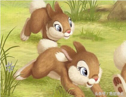 11月17日生肖兔运势怎样呢,11月27号生肖运势