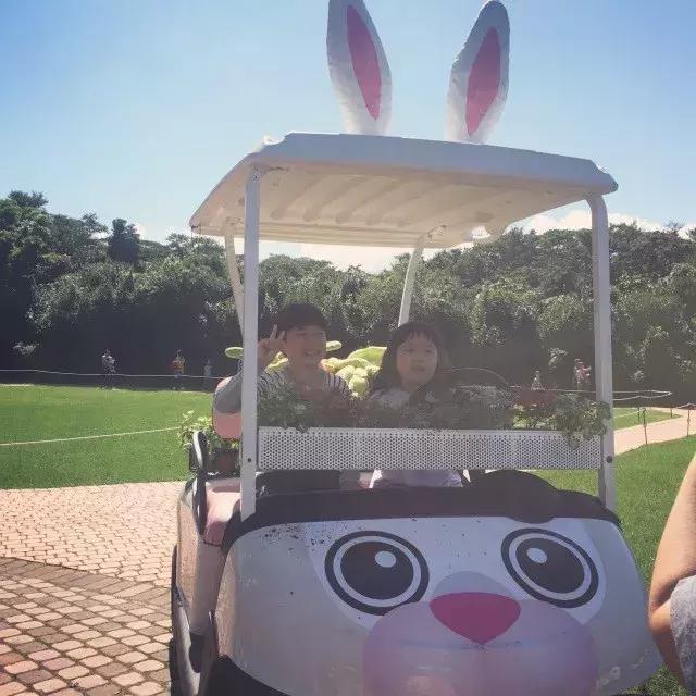 Trip丨如何在济州岛练就“济州瘫”（下部）