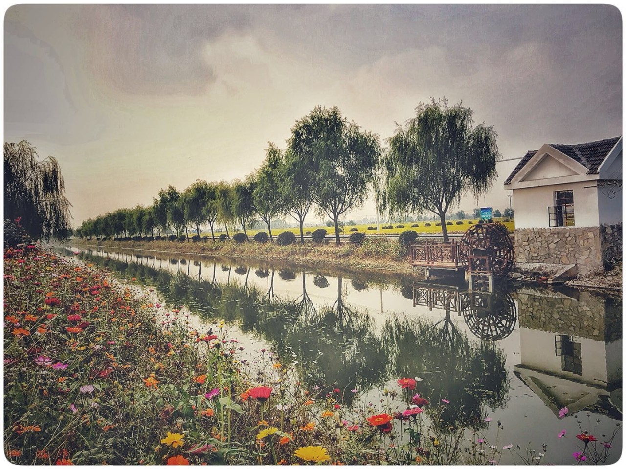 手机摄影作品也可以美不胜收,秋天手机摄影作品欣赏