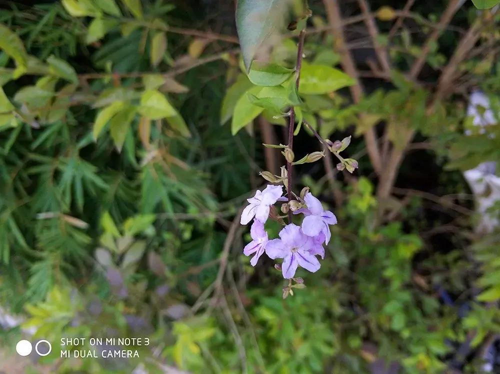 小米note3和小米6差距大吗,小米note3评测大型游戏