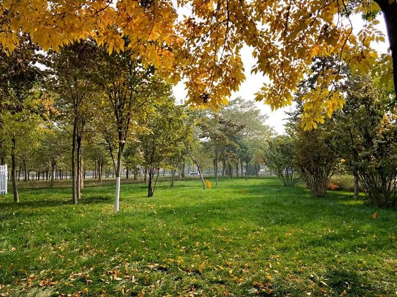 手机摄影作品赏析,手机摄影作品也可以美不胜收