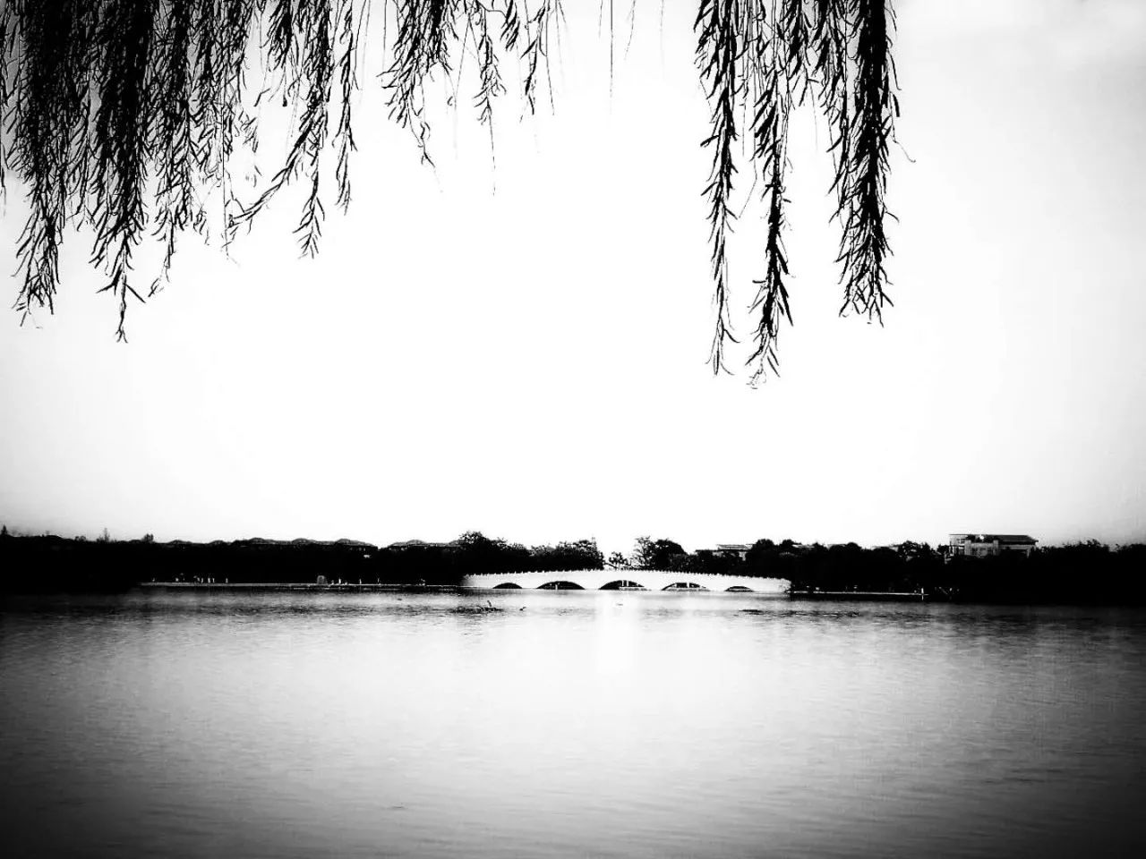 手机摄影作品也可以美不胜收,秋天手机摄影作品欣赏