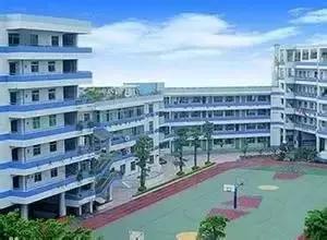 深圳福田前十名好的小学,深圳福田区小学排名前100名