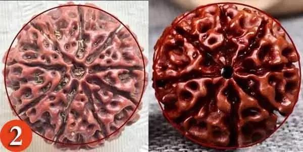 金刚菩提怎么分辨是不是落地红,金刚菩提吊坠识别真假