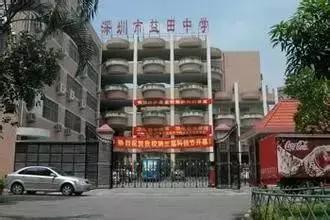 深圳福田前十名好的小学,深圳福田区小学排名前100名