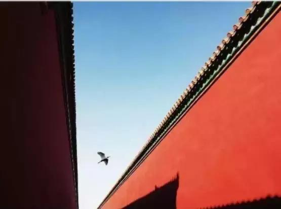 手机拍照修图惊艳瞬间,手机拍摄的好看照片