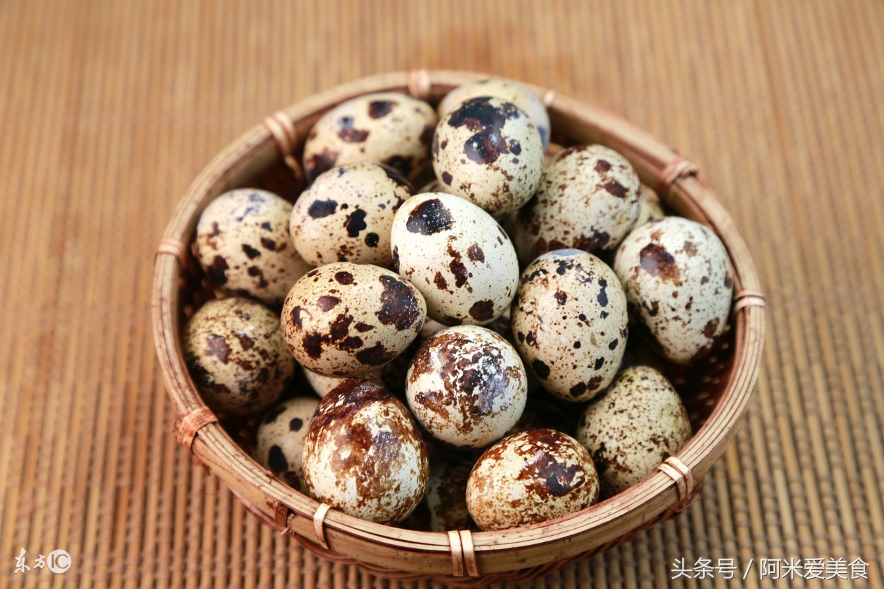 鸡蛋鸭蛋鹅蛋什么蛋的营养价值高,鹅蛋鸭蛋鸡蛋鹌鹑蛋哪个营养最高
