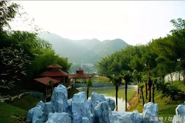 农家乐游玩向往的生活,向往的生活杭州余杭农家乐