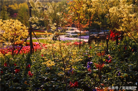 大连安静的风景区有哪些,大连治愈系胜地