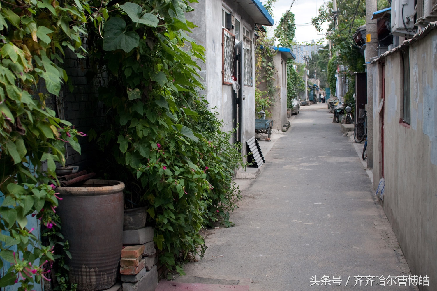 齐齐哈尔老城记忆,齐齐哈尔老北大街