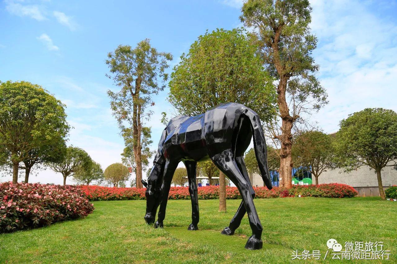 春节免费开放弥勒太平湖森林公园,弥勒太平湖森林公园6月去有花吗