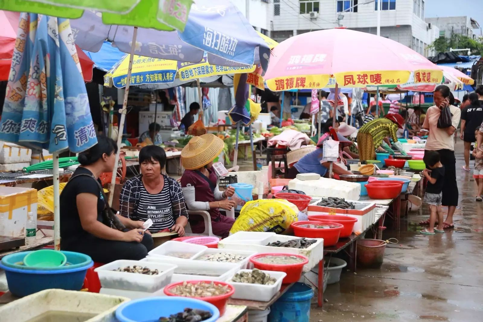 陵水分界洲岛一日游攻略,陵水椰子岛一日游攻略