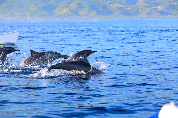 巴厘岛旅游景点大全排名榜单,巴厘岛旅游必去景点排行榜