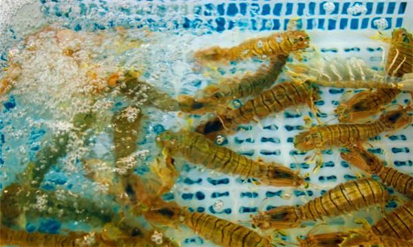 偶遇阳光、海滩在三亚