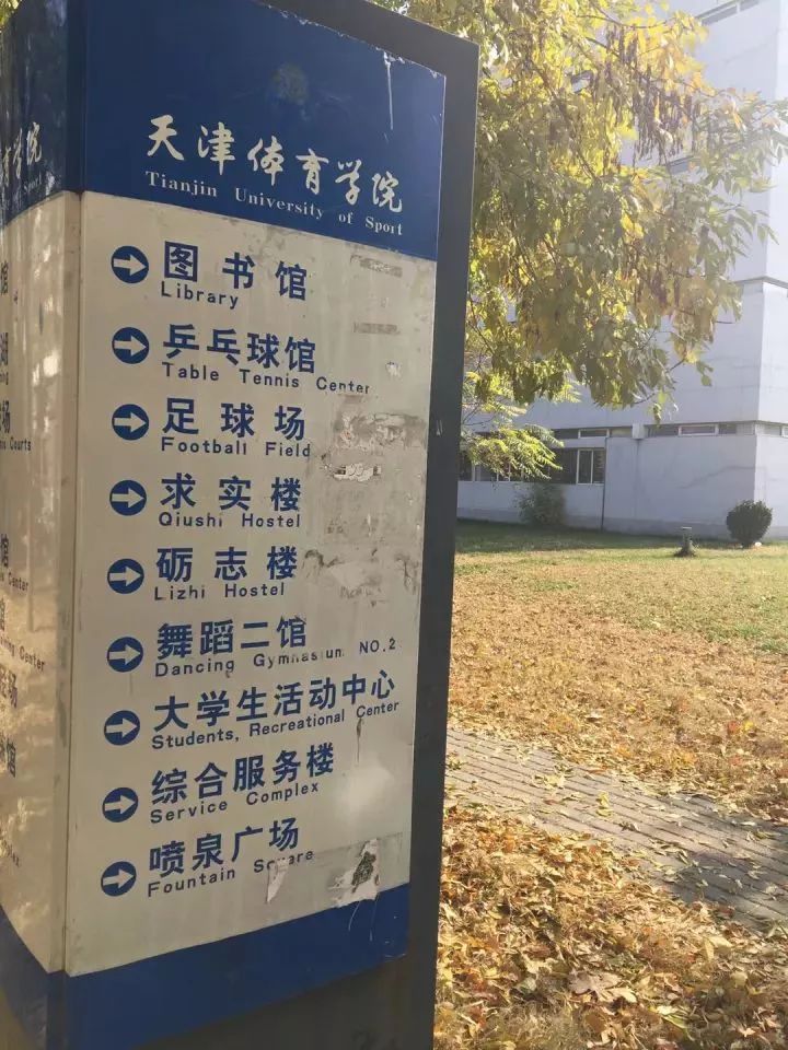 天津体育学院卫津南路51号,再见了天津视频
