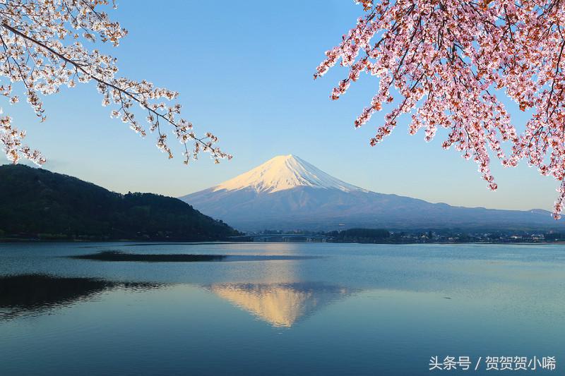 游轮旅行日本攻略,坐游轮去日本大概需要多少钱