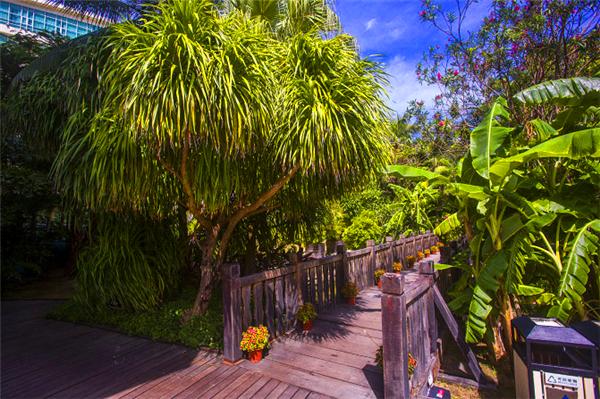 偶遇阳光、海滩在三亚