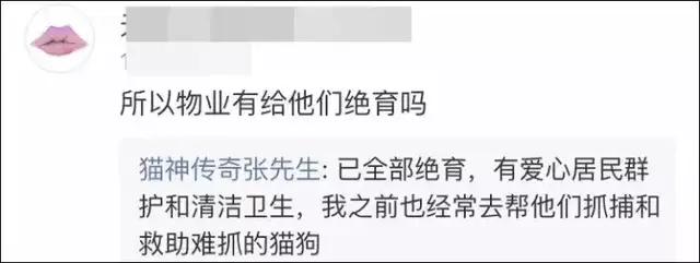 小区物业为流浪猫安了家,物业为流浪猫投放太阳能