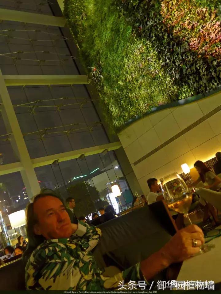 植物大战僵尸之父是中国人,植物墙创始人