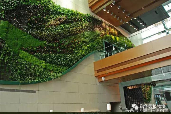 他曾说过：每一面植物墙都是一个花园……