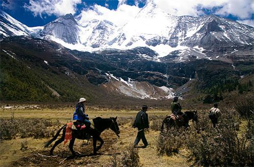 稻城亚丁景区骑马多少钱一人,去稻城亚丁骑马多少钱
