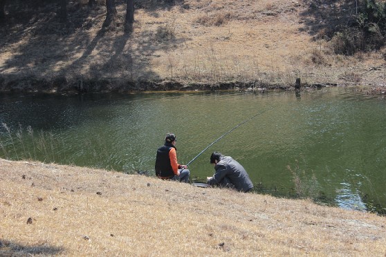 林东水库露营地还开放吗,南京野山露营过夜地点推荐