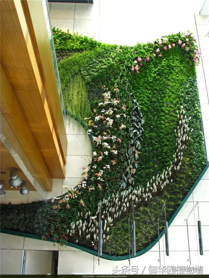 植物大战僵尸之父是中国人,植物墙创始人