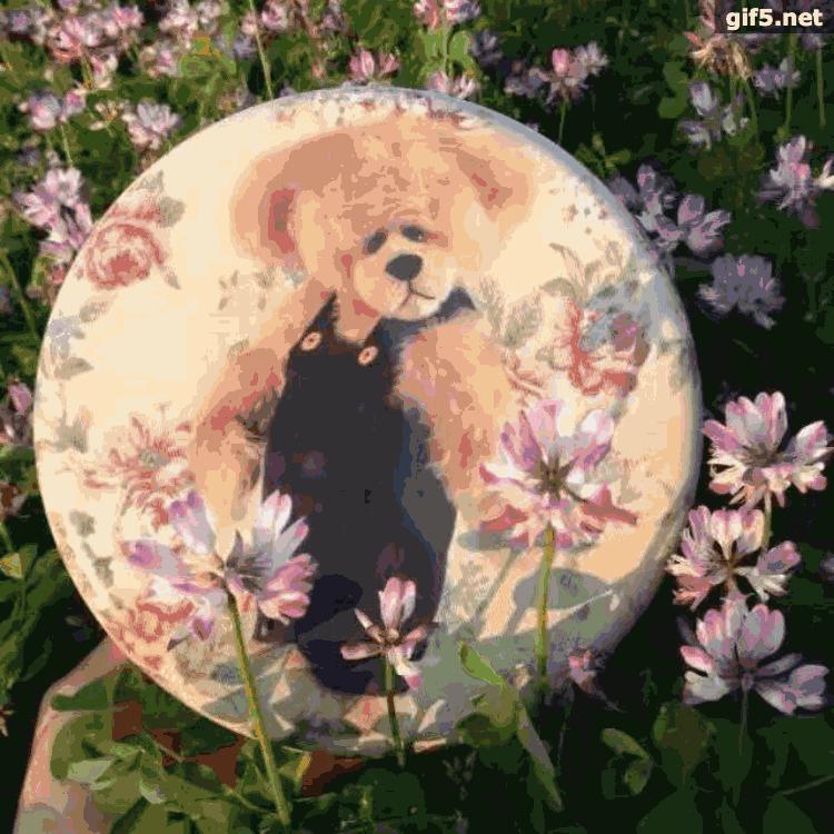 香港最正宗的小熊饼干,香港本地人吃的小熊饼干