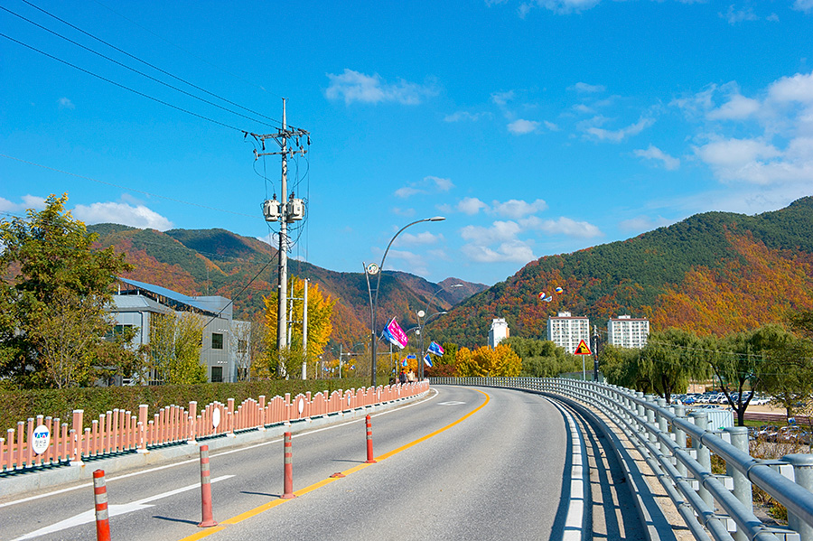 韩国女生街头小吃摆摊,广州韩国炸鸡摆地摊