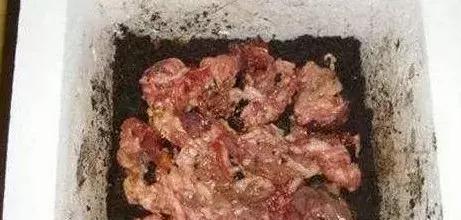 测一测你家狗能活多久!