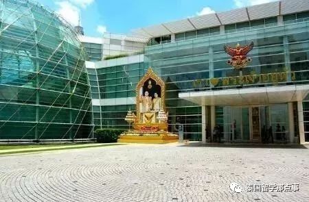 双十一最不可思议的商品,双十一买过最匪夷所思的东西